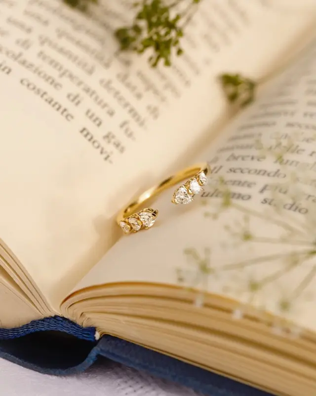 Embrassez l’éternité avec élégance grâce aux anneaux de la collection Anniversary More de @recarlo. Une fusion parfaite entre design raffiné et diamants d’exception, ces anneaux incarnent l’amour durable et l’élégance absolue. 

Célébrez votre histoire avec un bijou qui traverse le temps. 

#Recarlo #AnniversaryMore #baguedefiançailles #BijouterieChristianMas #Annemasse